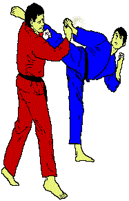 A spinning kick delivered by the blue warrior